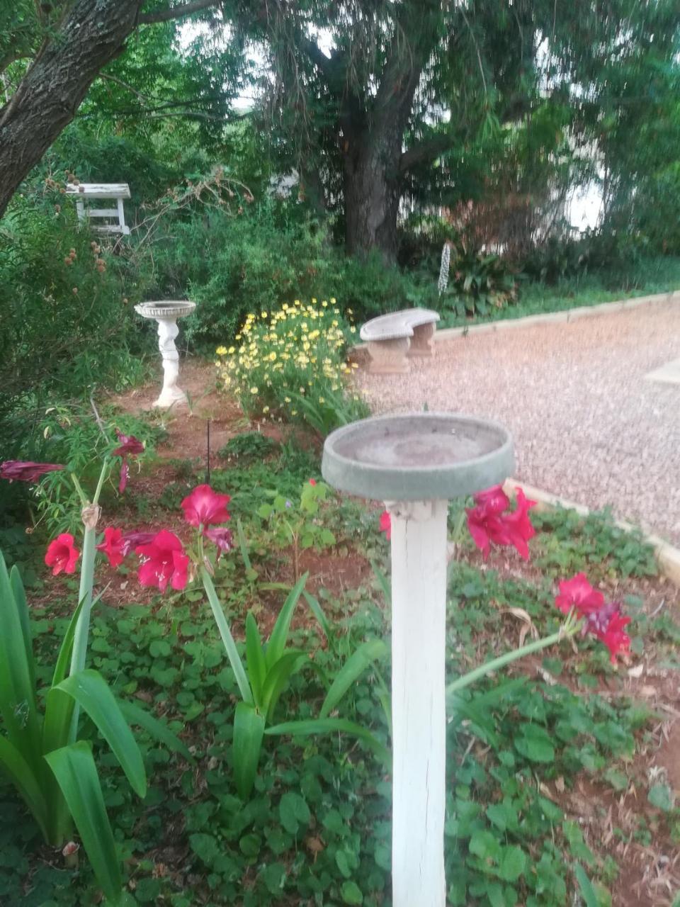 Mulberry Place Cradock Exterior foto